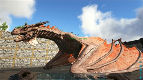 Wyvern